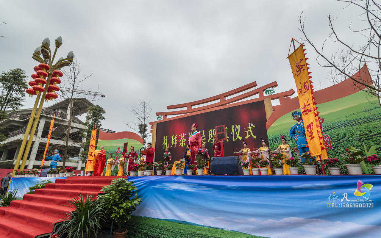 「图说雅安」太美了，快来蒙顶山采仙芽（转疯了）