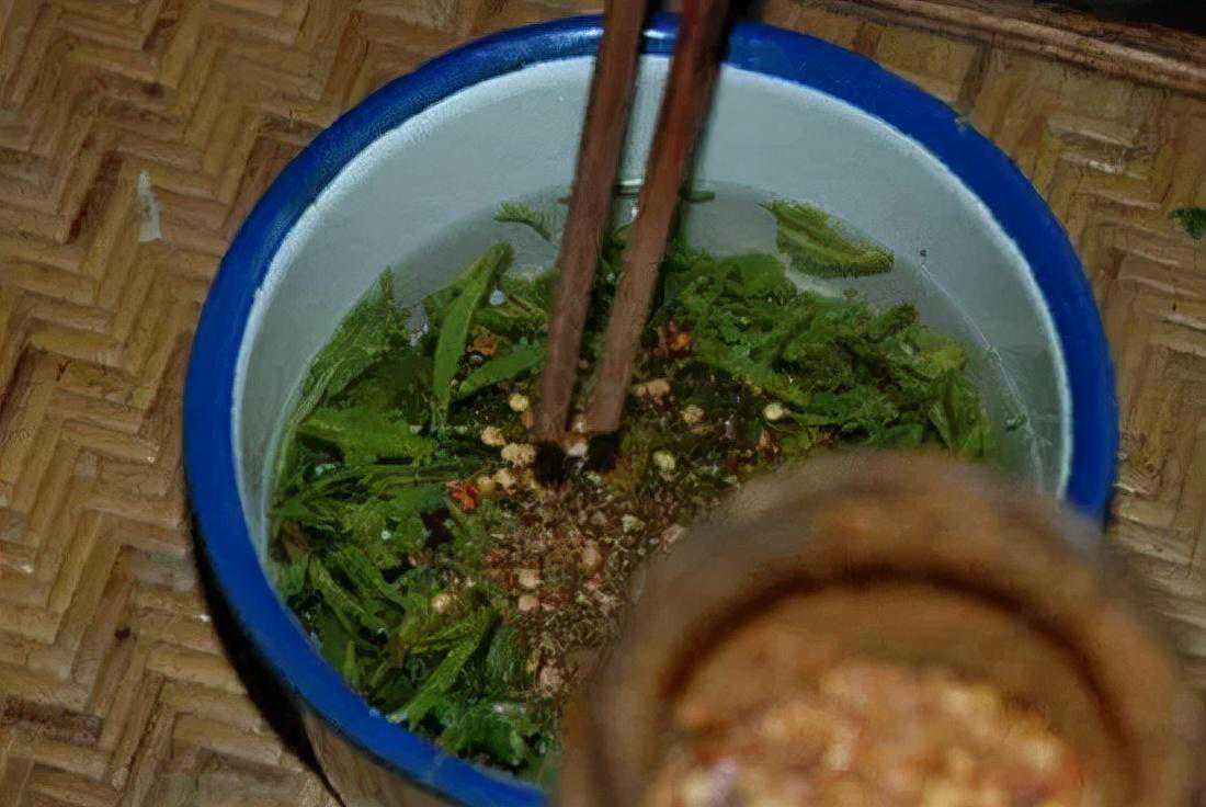 古六大茶山之首，喝普洱不得不知的攸乐