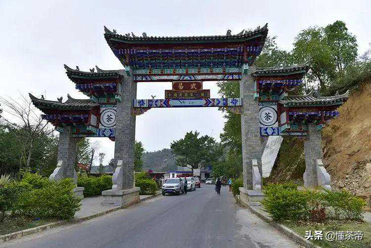 易武茶区名山普洱茶，喝过5种是高手