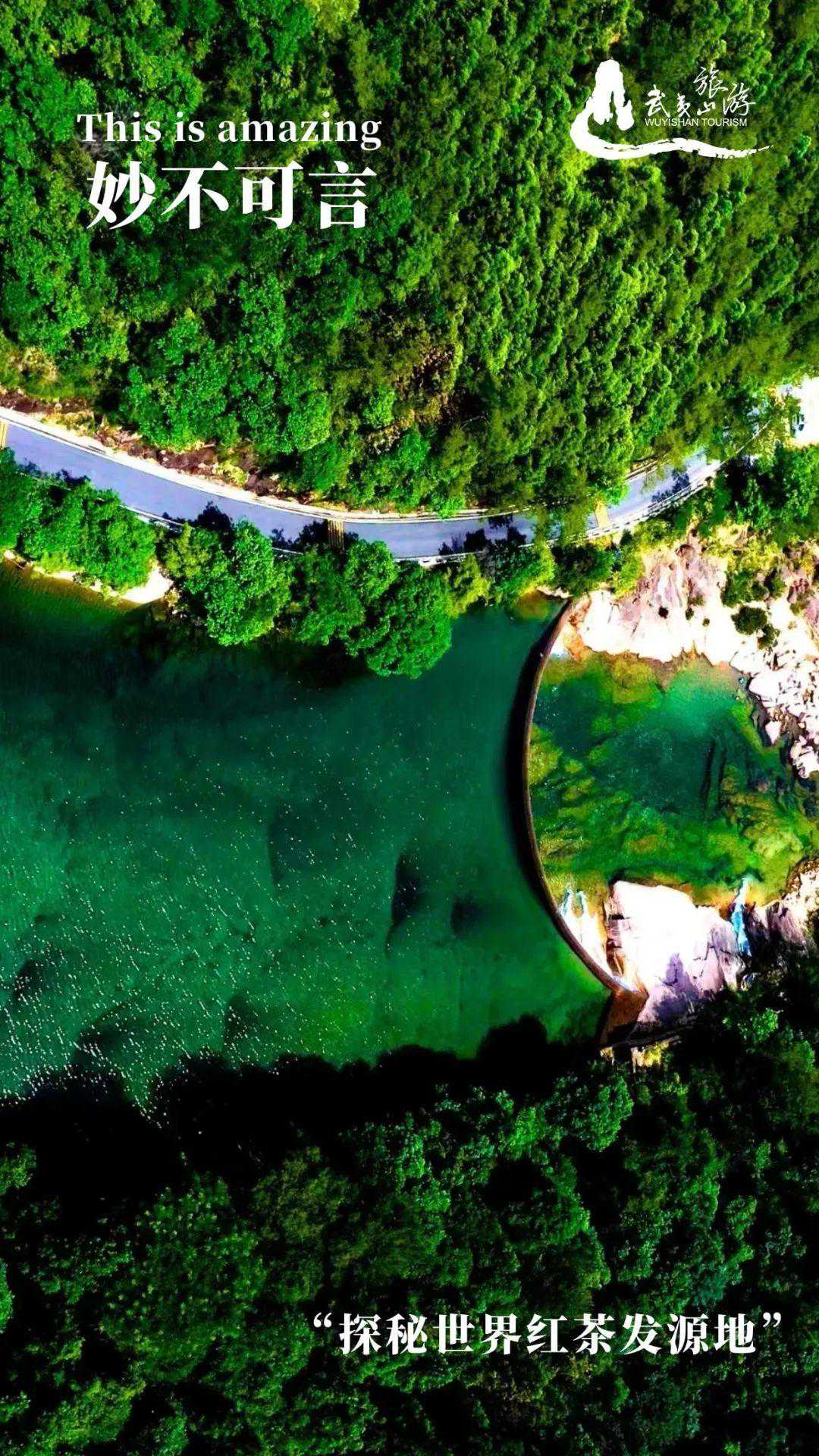 在世界红茶发源地桐木关，意公子这样说……