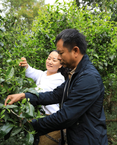 25年来专心只做一件事！这对夫妻多年来乐此不疲