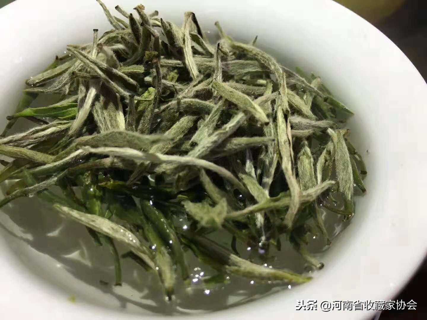 一饼白茶拍出了35万的天价，别被迷惑了，想收藏白茶须知道这些