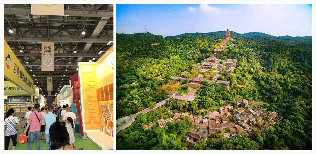 8月9-13日佛山高端茶业茶具博览会将于陈村花卉世界展览中心举行