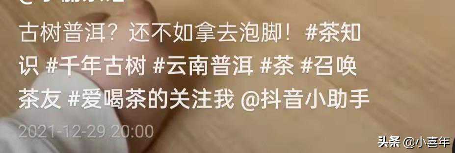 “古树茶”是不是个伪概念？到底存不存在“20年的古树茶”？