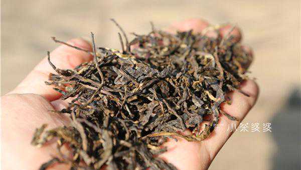 茶山趣事 · 拉祜族小妹小欣的烤茶，原来茶还能这样喝