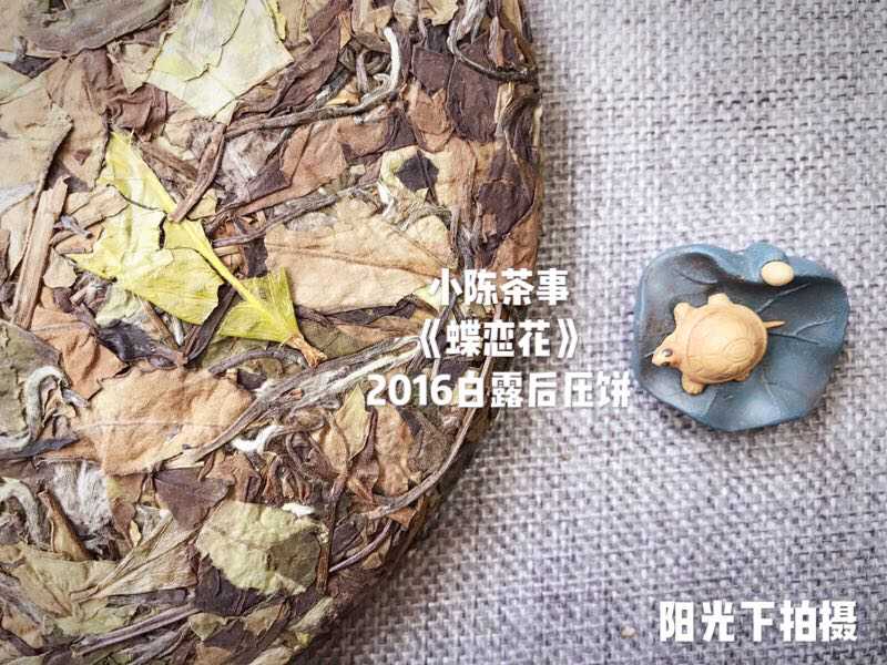 三年的，五年的老寿眉，都四五十块钱一饼，老白茶就这个价格吗？