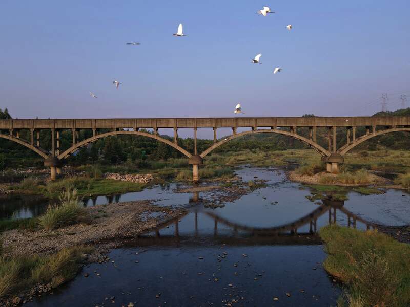 看过世界更懂家乡美 一群海归让白沙溪新亮相