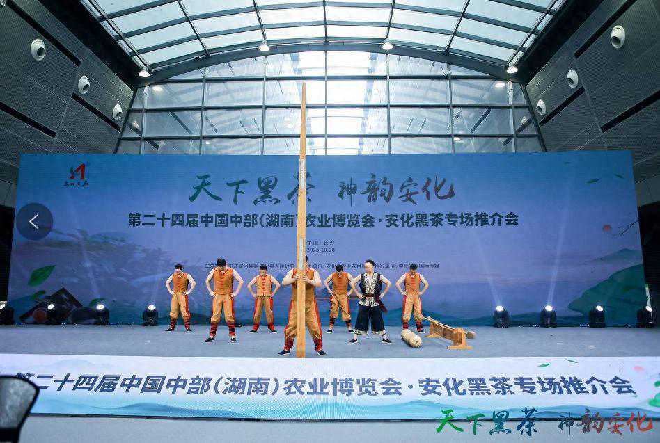 凭着当家招牌“黑茶”，湖南安化9家企业亮相第24届中部农博会