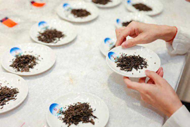 论茶，谁最牛？“2023大益论茶”完美落幕，西北选手夺冠