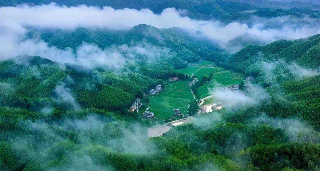 江西3大“惨败茶”，辉煌时曾家喻户晓，为啥如今出了赣鄱没人喝