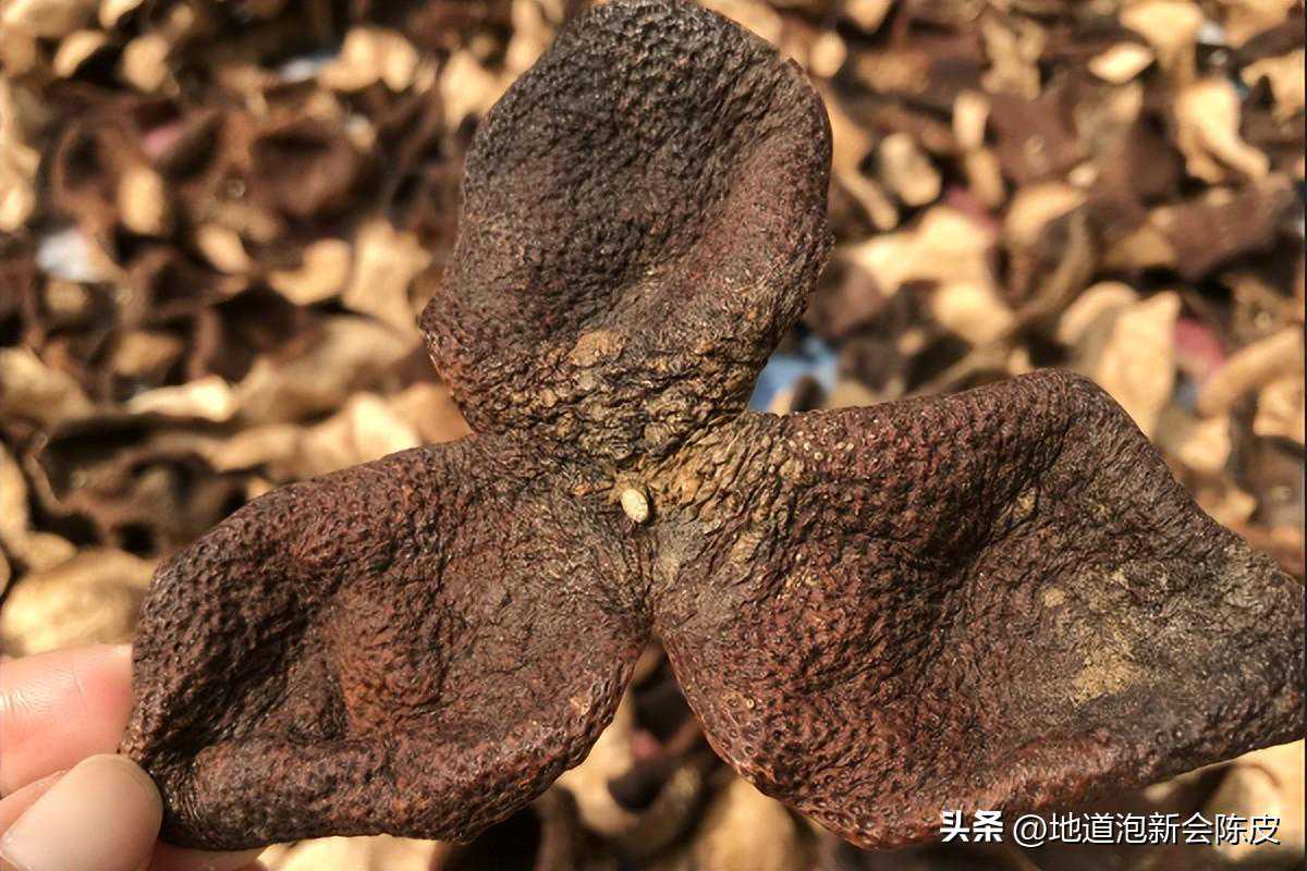 新会陈皮表皮的白粉是发霉了吗？