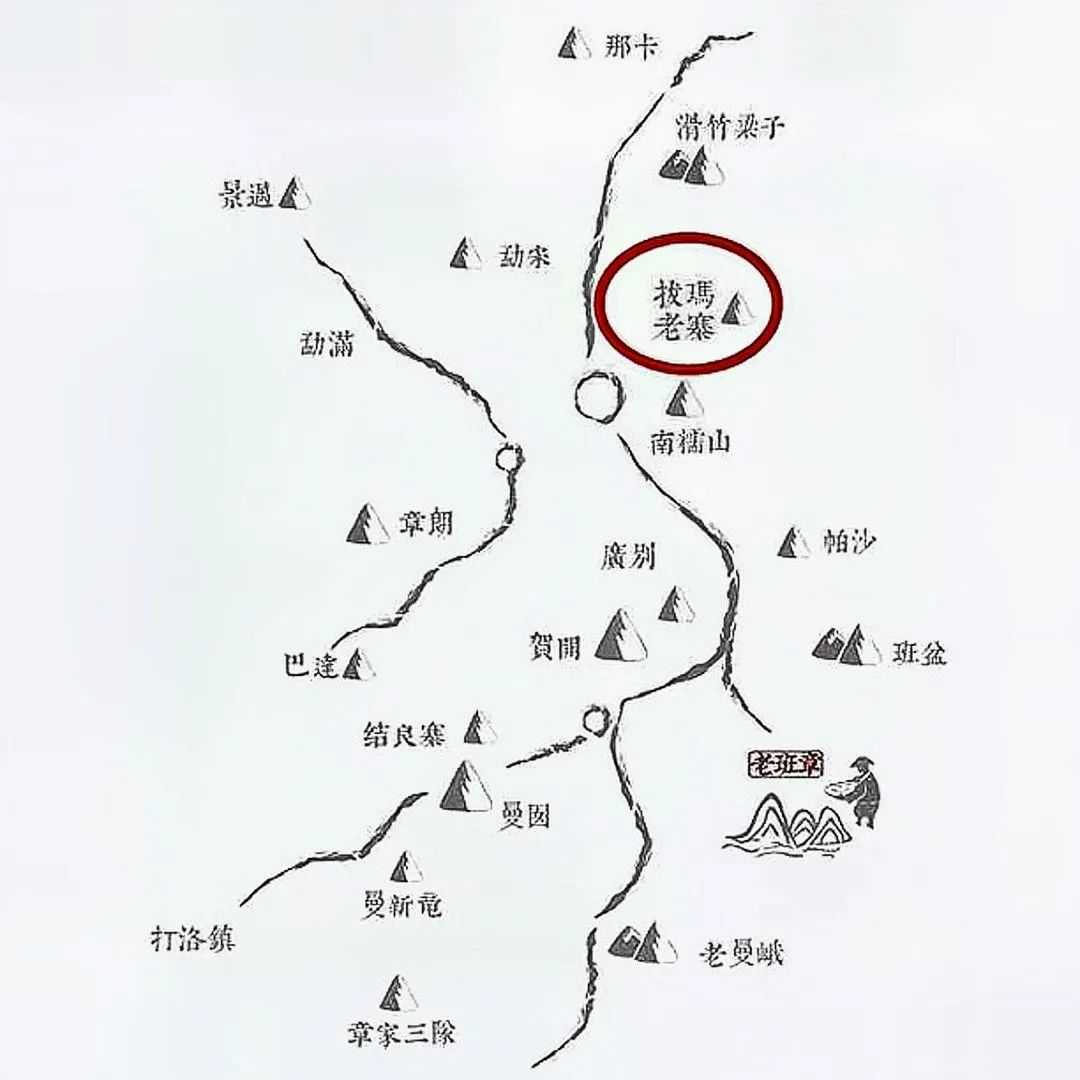 老徐谈茶第285期：老徐带你了解名山名寨茶系列之拔玛老寨古树茶