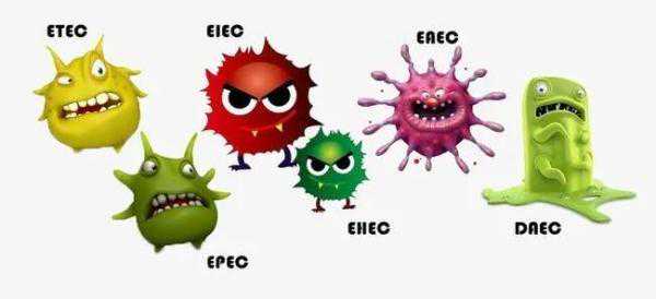 冰箱的异味重？结霜厚？耗电量大？关于冰箱的小知识，一次全说清