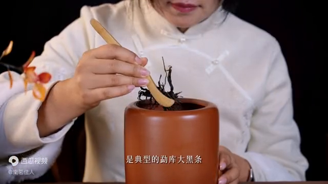 冲泡方法 |《冰岛老寨500年》兰香清雅扑鼻，冰糖甜韵越泡越强