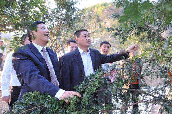 红豆寄乡愁，生态兴乡村——“中国好人”沈建斌的乡村振兴“红豆杉实践”