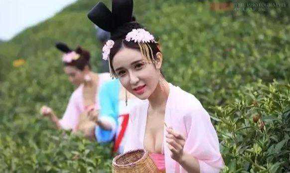 品味国宝级普洱茶，探寻大益普洱茶历史渊源、品质特点和饮用方法