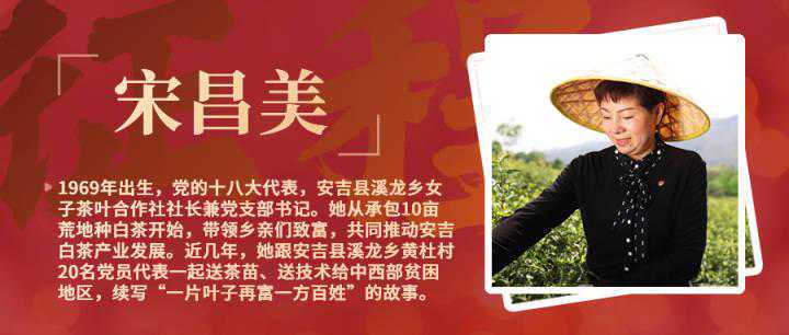 将丰收一季变为兴旺四季 十八大党代表宋昌美的茶经新语