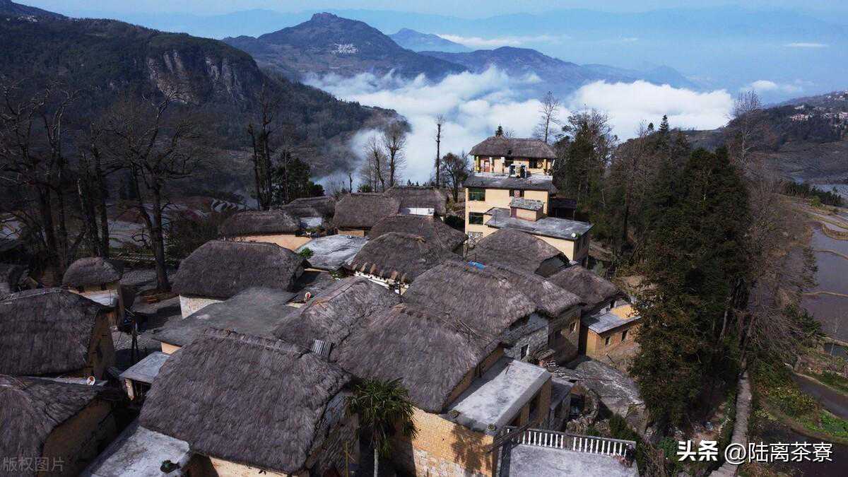 帕沙与贺开：昔日的班章之源和布朗茶王，今日的两个老班章前辈