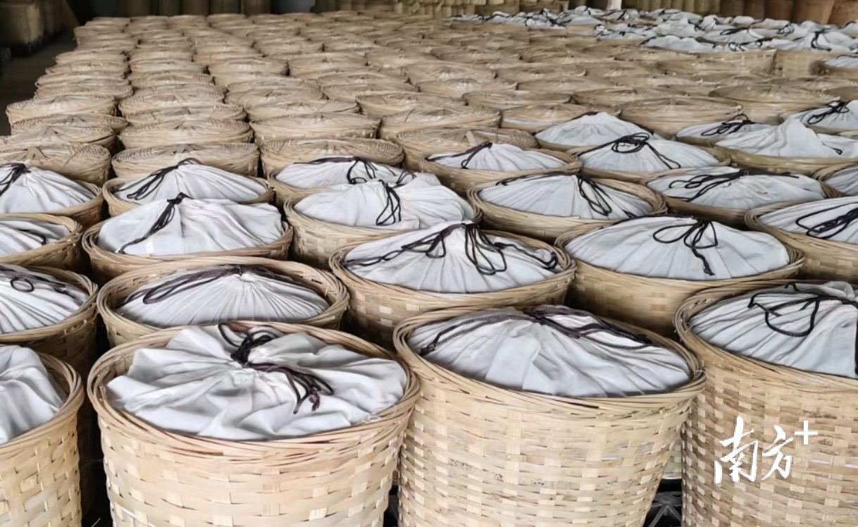 桂天下：以推广广西好茶为使命，携桂青种六堡茶参战｜中国十大茶王参评茶企巡礼㉞