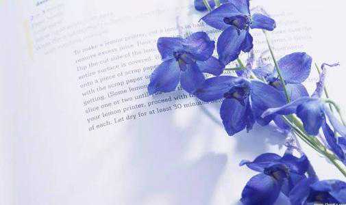 自成一派，不做任何人的替代品——磨烈