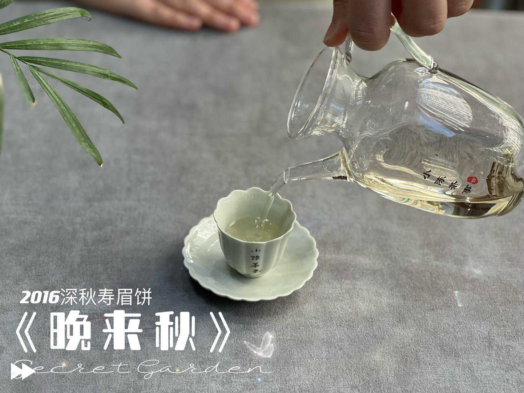 如何泡好7年陈的老白茶？照这5个步骤去做，教你轻松泡出好白茶！
