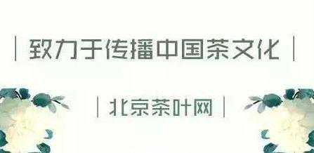 如何更优雅的泡出一杯好茶？不妨亲身感受“湿泡法”与“干泡法”