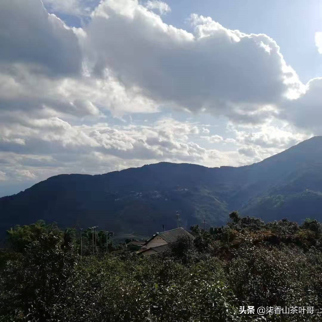 勐库的僻壤之地，却有着丰富的古树茶资源，带你走入真实的坝卡