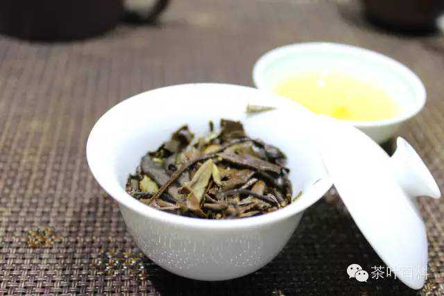 我国绿茶的主要品种有哪些？