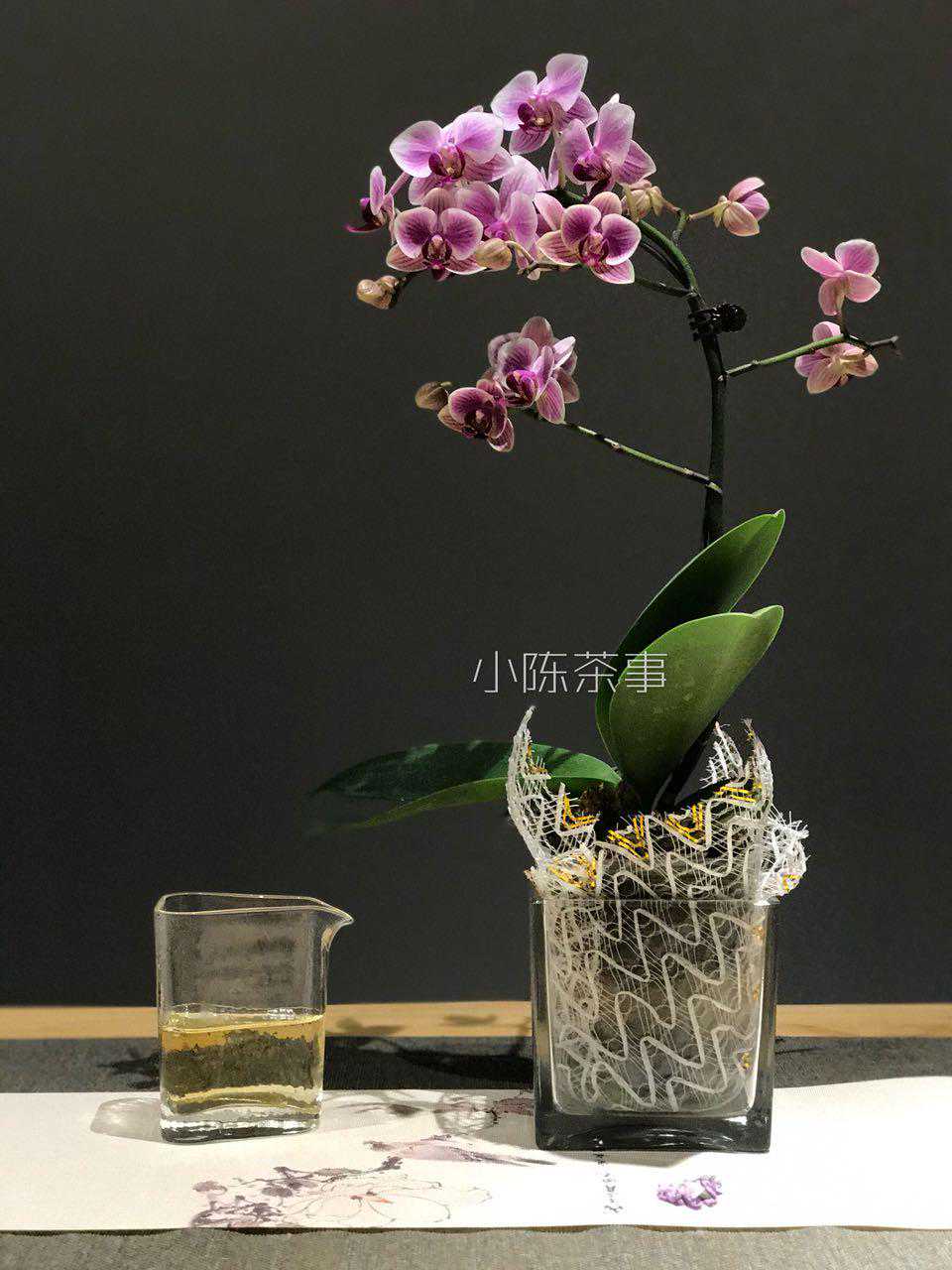 一次性总结30个白茶知识，从基础、冲泡到保存，全面了解白茶！