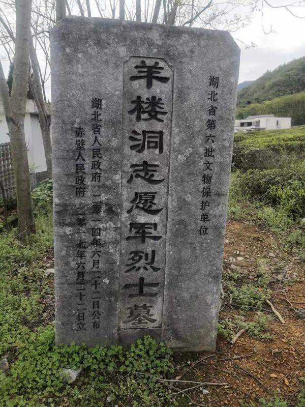 不仅是团圆！老警察18年为140位志愿军烈士寻亲