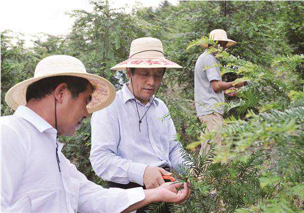 乡亲口碑里的“好人阿小”沈建斌：因为乡愁