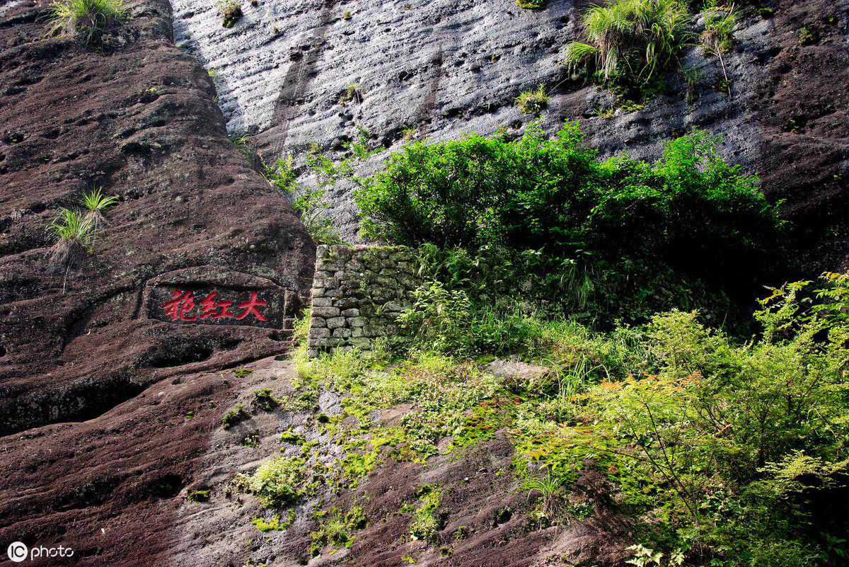 苦底普洱茶，好茶的“果岭”还是劣茶的“雷区”？