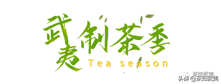 叶底不会说谎，教你“玩”茶渣