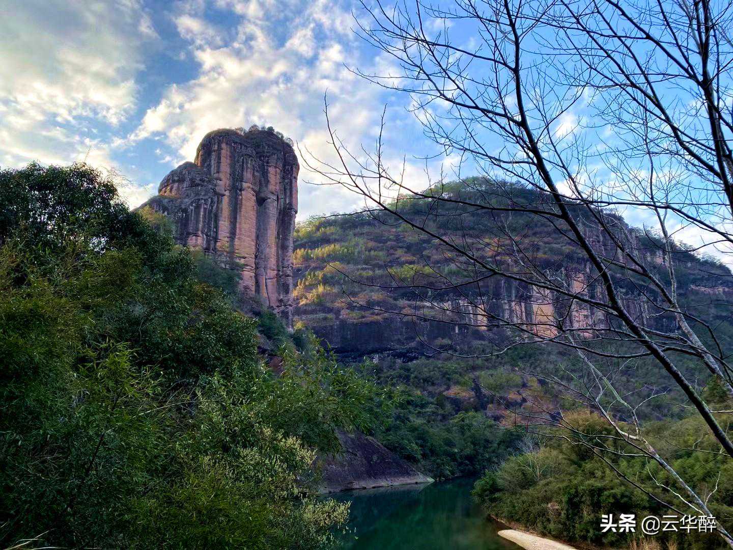 武夷岩茶还有个系列叫“奇种”，是你未曾听过的故事