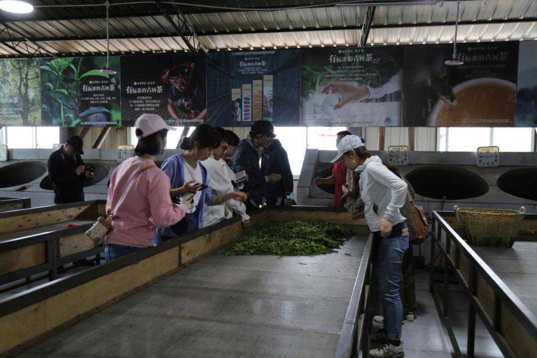 从源头抓品质：七彩云南庆沣祥的品牌基石