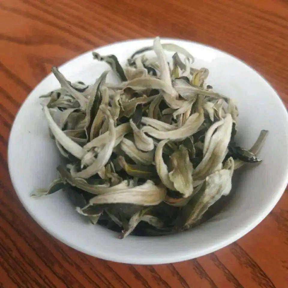 老李侃茶：活力广东