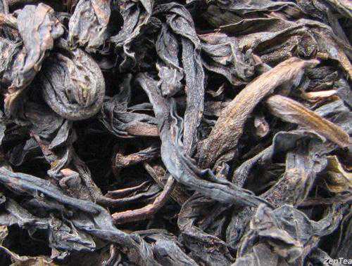 一篇文章教你秒懂岩茶水仙“老枞”和“高枞”