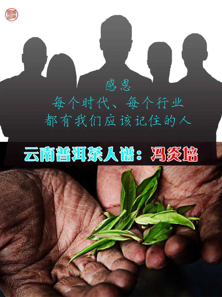 云南普洱茶人·谱｜冯炎培