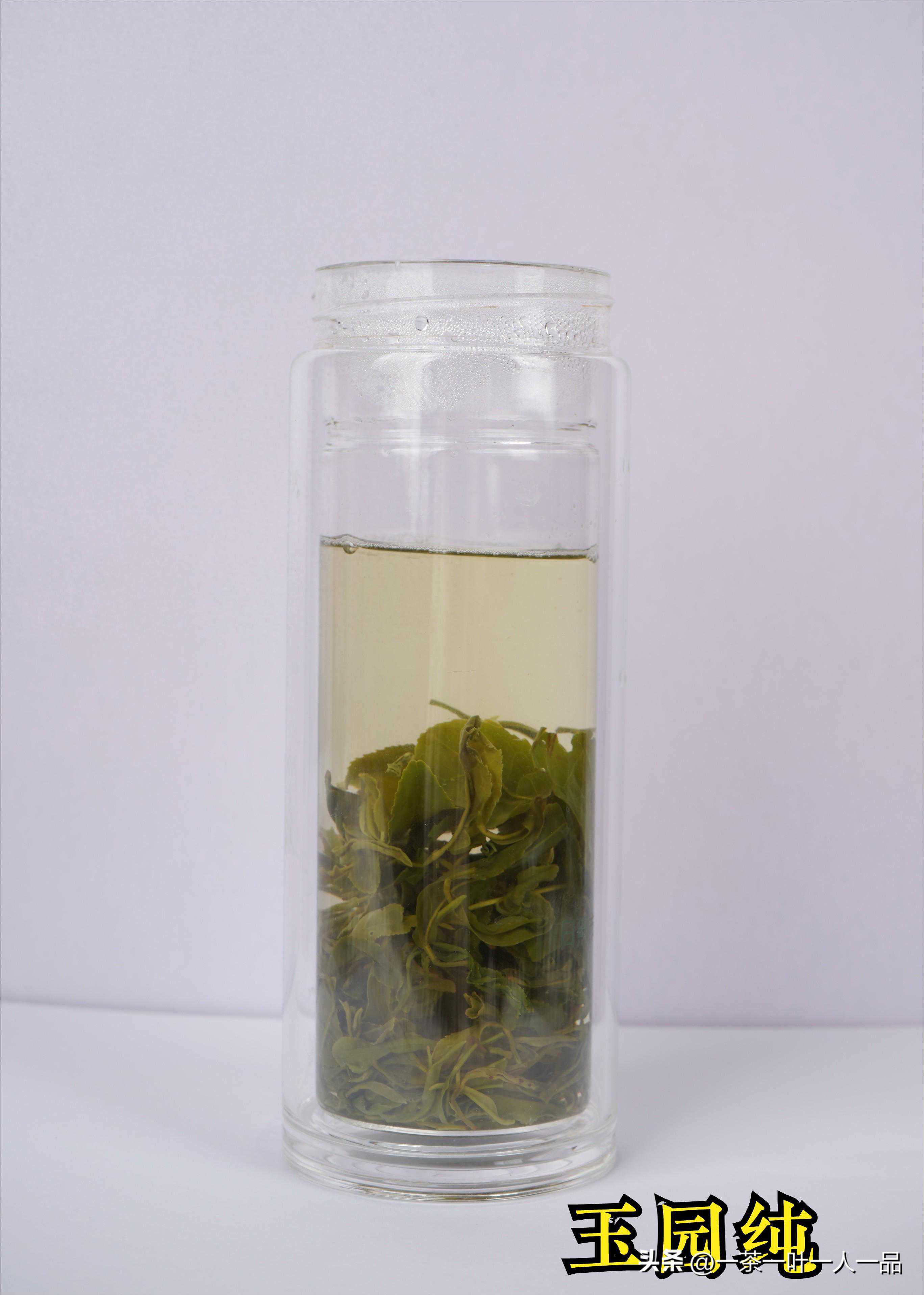 中国十大名优绿茶及其特点（一）