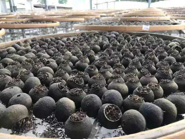 人人都喝的小青柑，究竟有啥好？