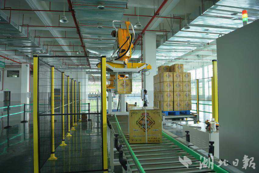 鹤峰：茶叶加工“机器换人” 自动化生产提质增效