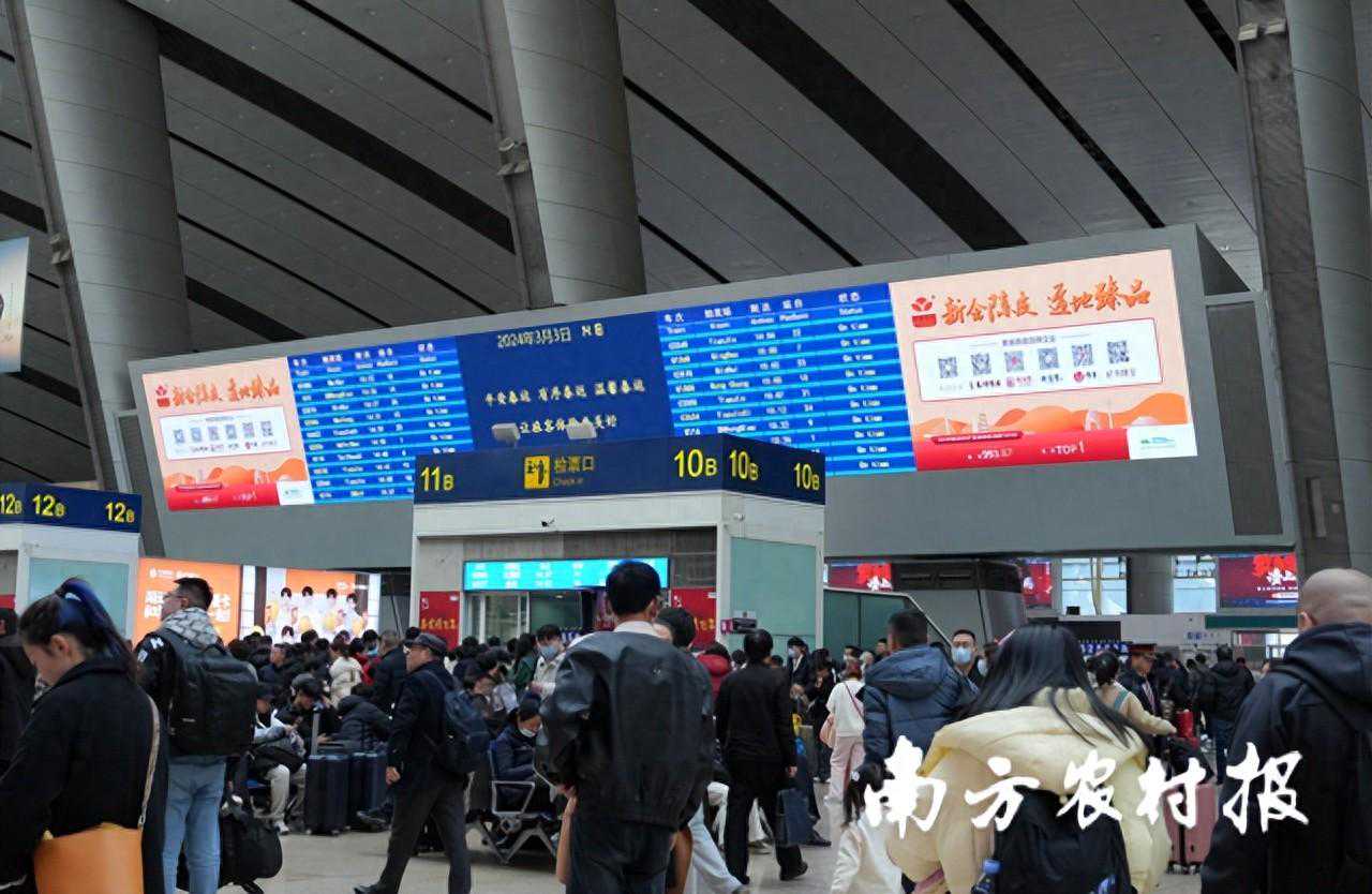 新会陈皮点亮北京南站！首届新会柑花节3月8日与你“香”约