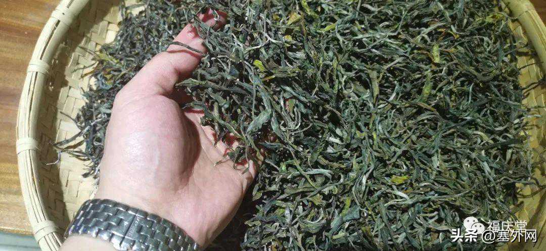 为什么说普洱茶喝生不喝熟？