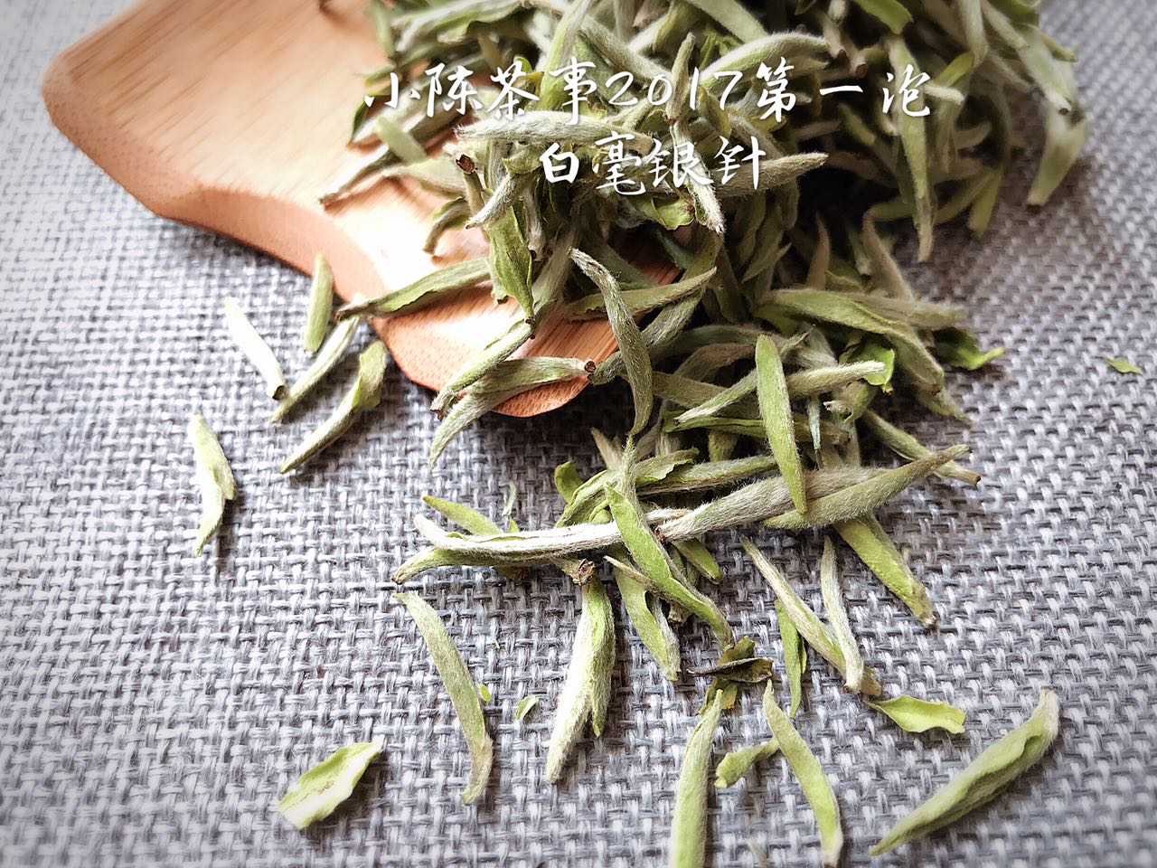 白茶是什么？怎么喝，这里都有了！