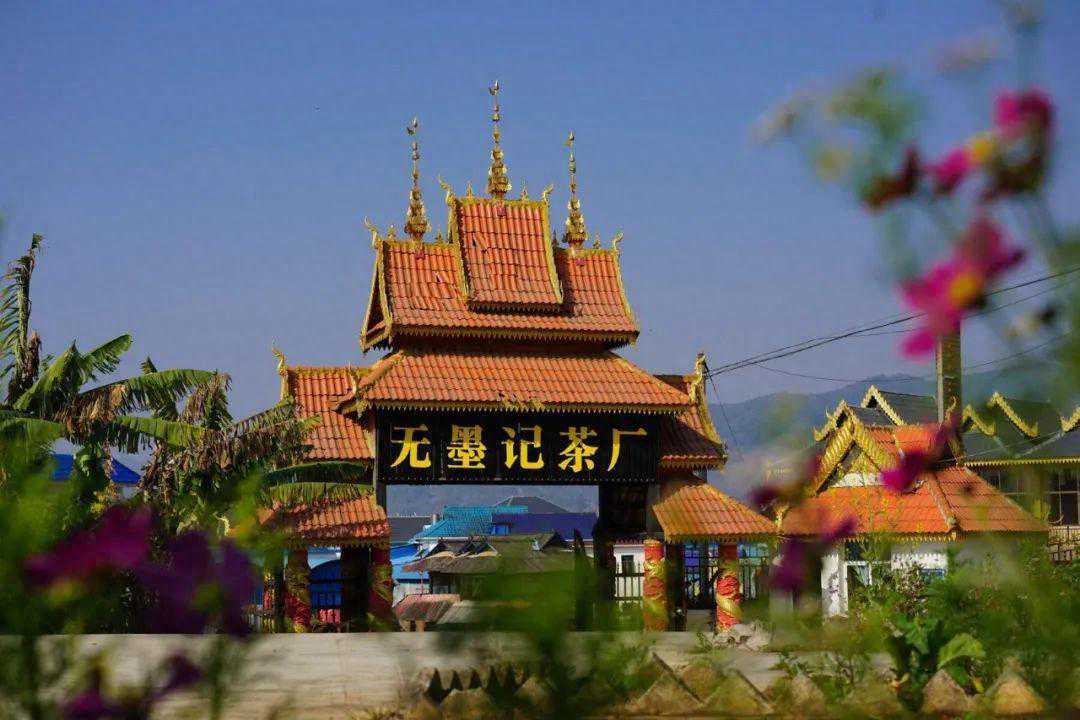 签约完成 | 帕沙犀牛塘等7个普洱茶黄金线路站点已点亮