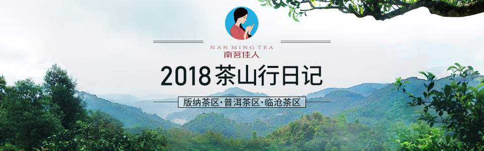 茶山行日记8：南糯山海拔最高，价格最贵的古树茶——拔玛寨
