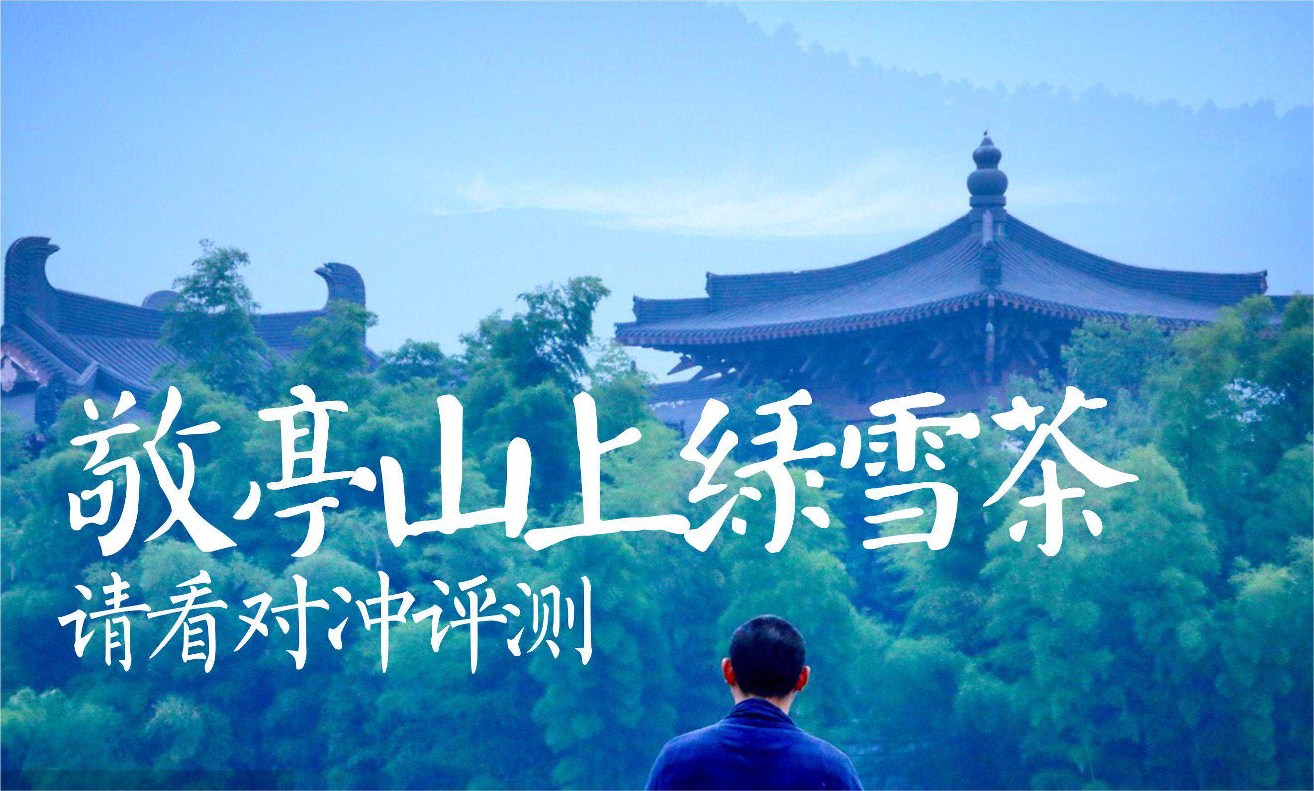 最富诗意的茶名能否名副其实？安徽敬亭绿雪与浙江龙井茶对冲评测