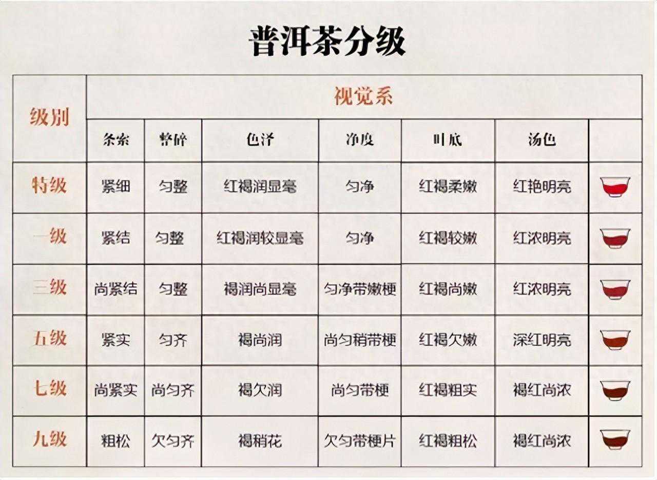 茶叶也分“三六九等”，普洱只是冰山一角，看完你会懂很多！