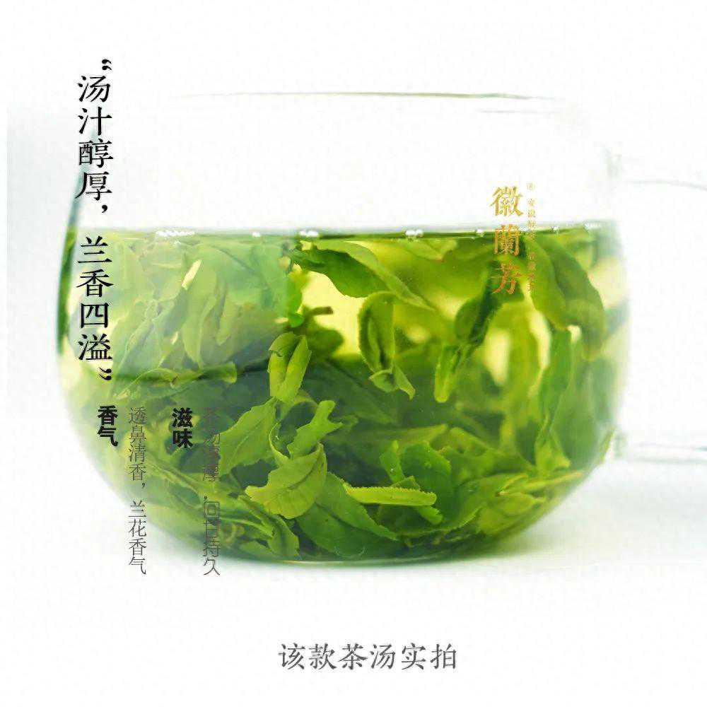 避坑指南：500元的头采小叶瓜片，能买吗？