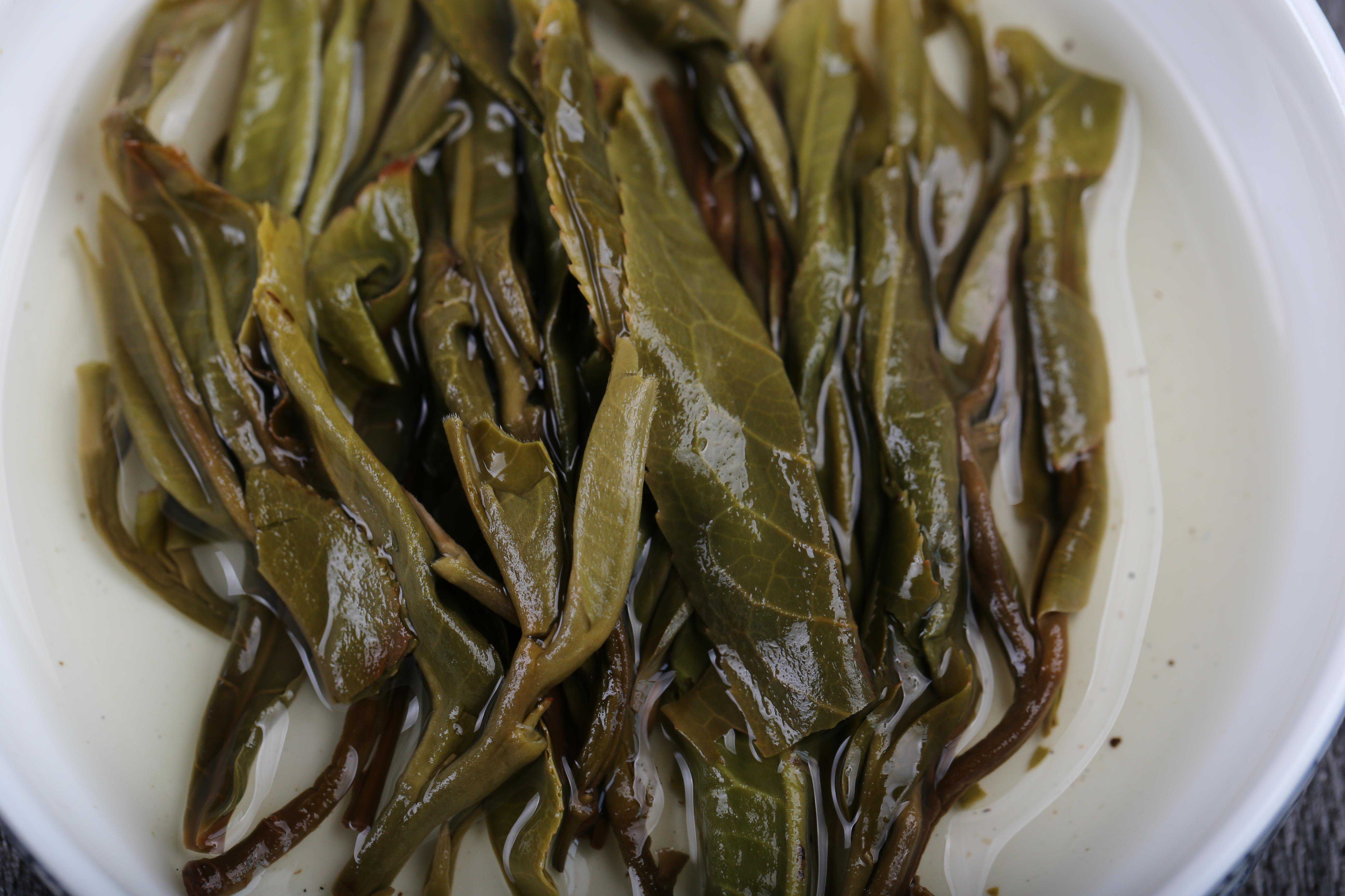 一分钟简单了解一下号级茶和印级茶